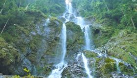 Begin your visa-prepared day with Vietnam’s tranquil ambiance